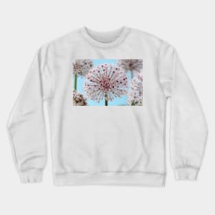 Allium karataviense   AGM  Kara Tau garlic Crewneck Sweatshirt